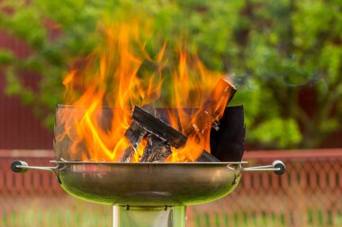 Ateş dalları, şenlik ateşi, odun yanığı, ateş, ev ızgarası için ateşleyici, şiş kebap pişirmek için kömür hazırlama. Izgarada yaz kampı ateşi