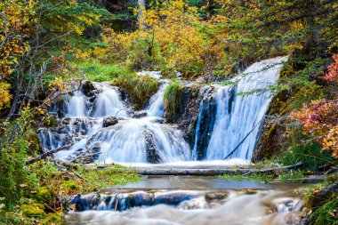 Bill tepe Springs Provincial Park, Alberta, Kanada