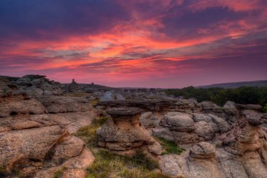 Taş Provincial Park Alberta, Kanada üzerinde yazılı güneş doğarken