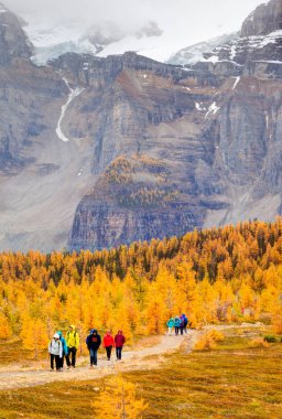 Kanada kayalık dağlarında popüler Hiking iz
