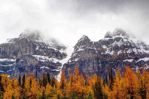 Larch Valley nas Montanhas Rochosas Canadenses — Fotografia de Stock