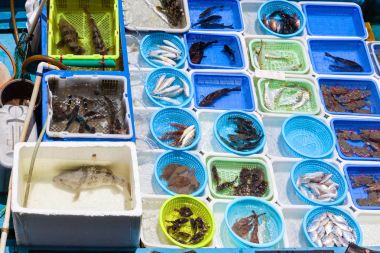 Sai Kung, Hong Kong, yüzen deniz ürünleri pazarı