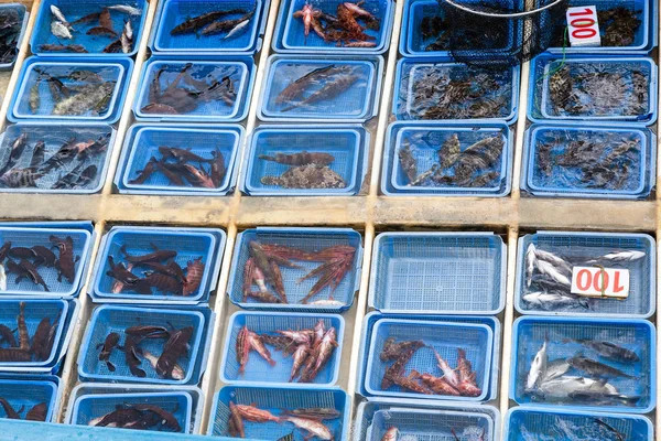 Mercado flotante de mariscos en Sai Kung, Hong Kong — Foto de Stock