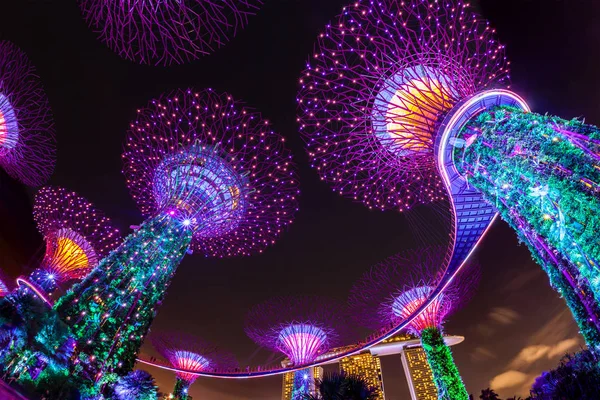 Göz kamaştırıcı ışık gösterisi Singapur Gardens Bay tarafından