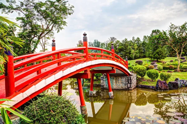 Japanese Garden Bridge in Singapore — Stock Photo, Image
