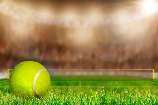 Тенісний м'яч на траві суду з копією простір — стокове фото
