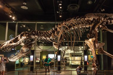 Dinozor sergi Drumheller, Kanada Royal Tyrrell Müzesi'nde