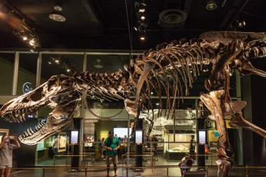 Dinosaur Exhibit at Royal Tyrrell Museum in Drumheller, Canada clipart
