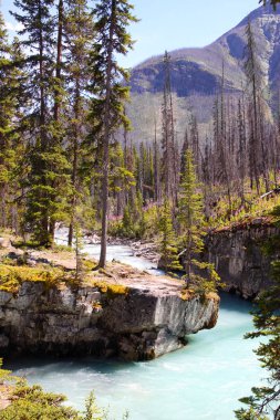 Kootenay Banff, Canada yakınındaki Kanyon'da mermer