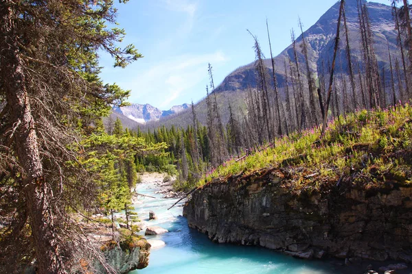 Canyon de marbre à Kootenay près de Banff, Canada — Photo