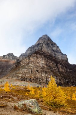 Kanada kayalık dağlarında Hiking dağ