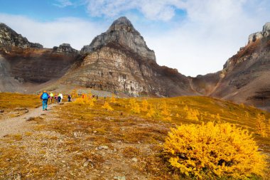 Kanada kayalık dağlarında Hiking dağ