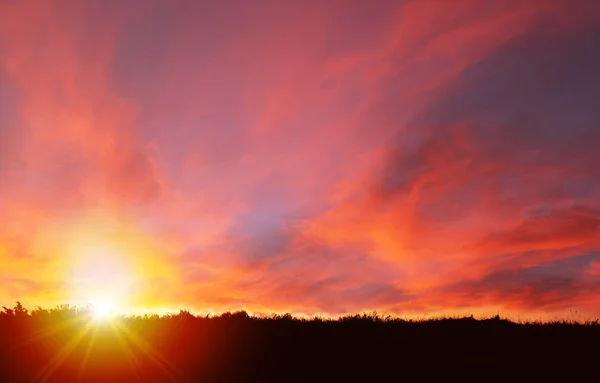 Низкоугольный Снимок Золотого Заката Над Внешним Силуэтом Поля Вспышкой Звезды — стоковое фото