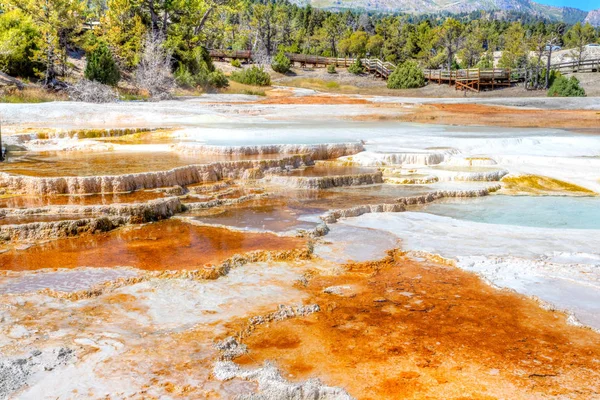 Zona termal volcánica de primavera canaria de la terraza principal en Mammoth Hot Springs en el Parque Nacional de Yellowstone, EE.UU. . — Imagen de stock Primavera Canaria en Mammoth Hot Springs en Yellowstone National Par — Foto de Stock