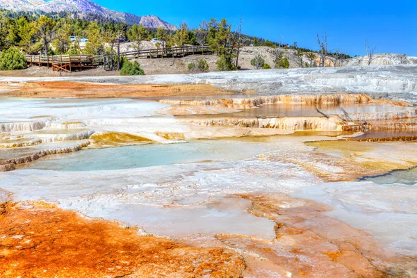 Zona termal volcánica de primavera canaria de la terraza principal en Mammoth Hot Springs en el Parque Nacional de Yellowstone, EE.UU. . — Imagen de stock Primavera Canaria en Mammoth Hot Springs en Yellowstone National Par — Foto de Stock