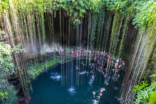Swimming at Cenote Ik Kil in Yucatan, Mexico — Stock Photo, Image