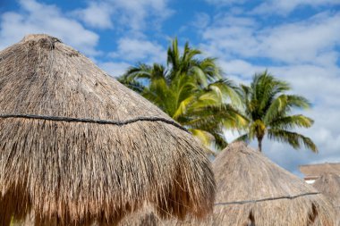 Hindistan cevizi palmiye yapraklı saman plajı şemsiyesini Riviera Maya Cancun sahilinde, Meksika 'nın Karayipler kıyısında mavi gökyüzüne karşı fotokopi alanı ile kapatın..