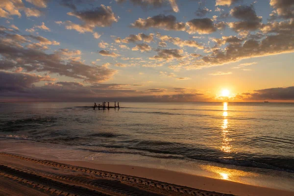 Beautiful Sunrise Beach Cancun Mexico Golden Reflections Silhouette Sea Birds — Stock Photo, Image