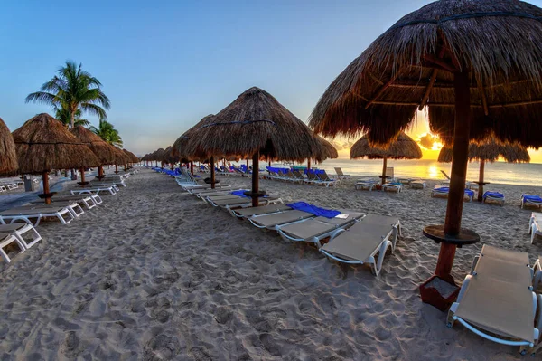 Golden Sunrise Rows Lounge Chairs Palm Tree Parasols Sandy Caribbean — Stock Photo, Image