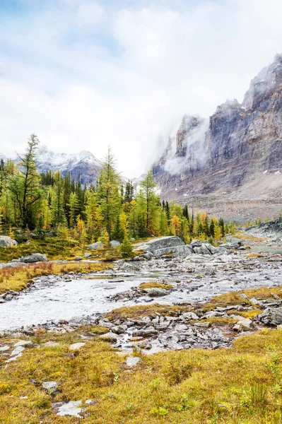 Escena Otoño Lago Hara Las Rocosas Canadienses Del Parque Nacional — Foto de Stock