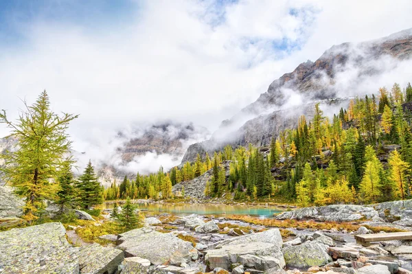 Escena Otoñal Lago Hara Las Rocosas Canadienses Del Parque Nacional — Foto de Stock