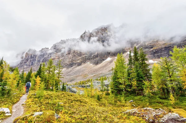 Caminhantes Vistos Opabin Trail Lago Hara Nas Montanhas Rochosas Canadenses — Fotografia de Stock