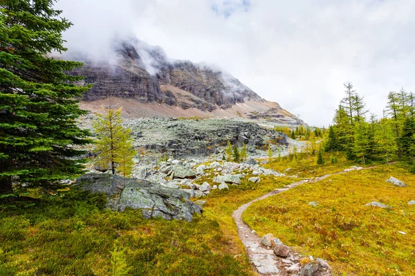 Opabin Turistická Stezka Jezera Hara Kanadských Skalách Národního Parku Yoho — Stock fotografie