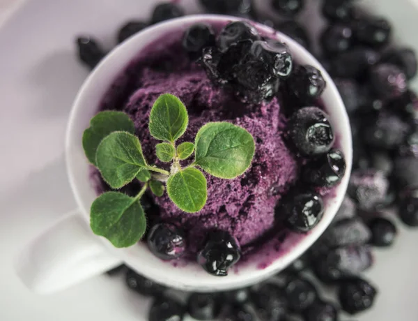 Helado italiano con arándanos — Foto de Stock