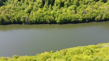 İlkbaharda ormandaki göl