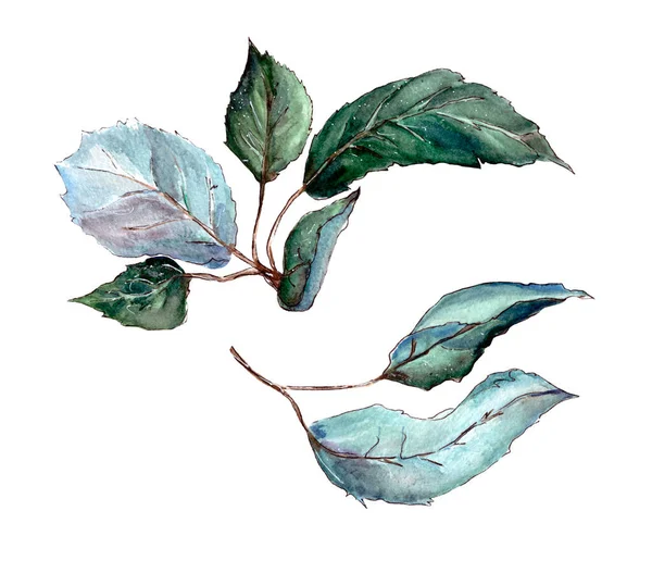 Illusztráció, akvarell, izolált zöld levelek — Stock Fotó