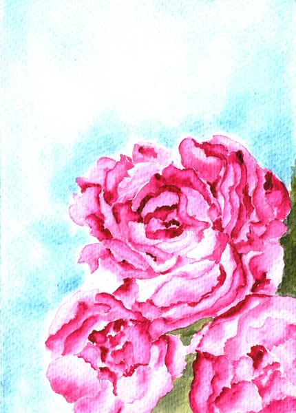 Acquerello illustrazione peonie rosa su sfondo blu — Foto Stock