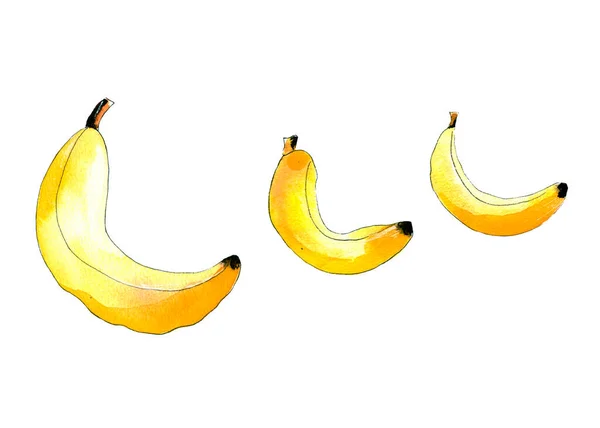 Akvarell Illustration Isolerade Frukt Gula Bananer För Bakgrund För Mönster — Stockfoto