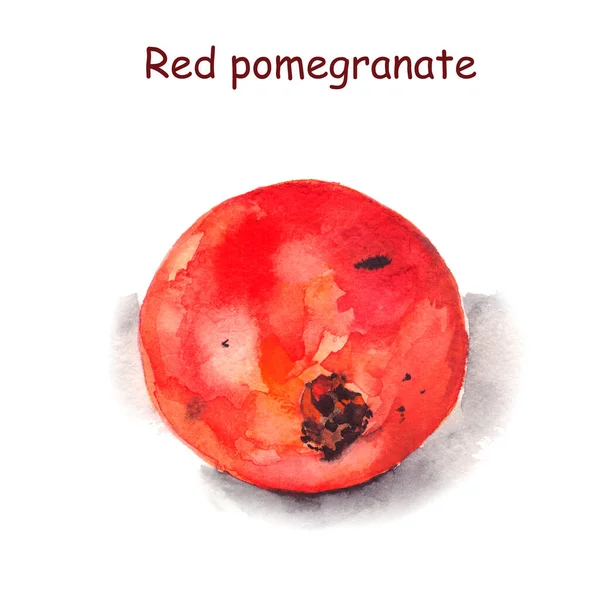 Ilustração Aquarela Uma Romã Muito Útil Fruta Vermelho Desenho Isolado — Fotografia de Stock