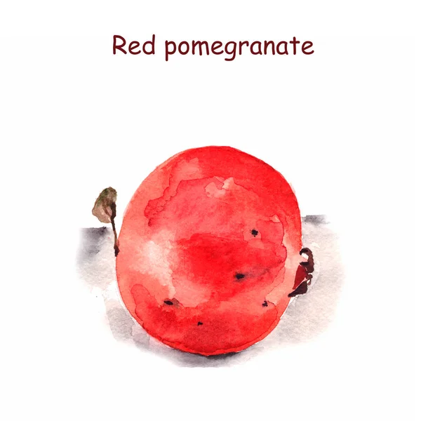 Akvarell Illusztráció Egy Nagyon Hasznos Gyümölcs Piros Gránátalma Elszigetelt Rajz — Stock Fotó