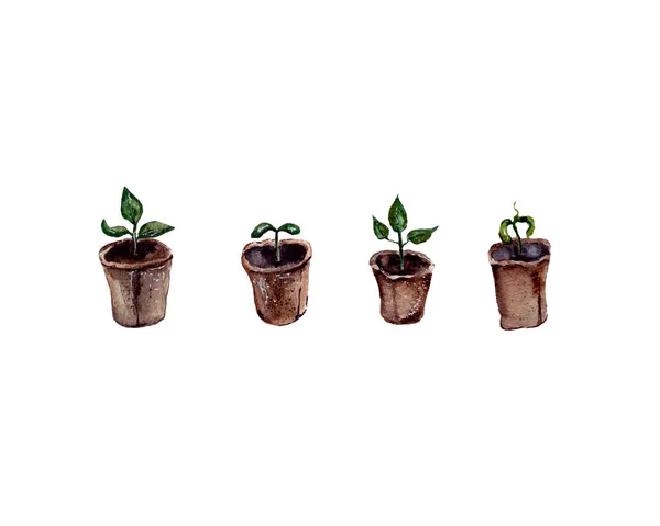 Acuarela Ilustración Dibujada Mano Suministros Jardinería Recipientes Para Plantas Crecimiento —  Fotos de Stock