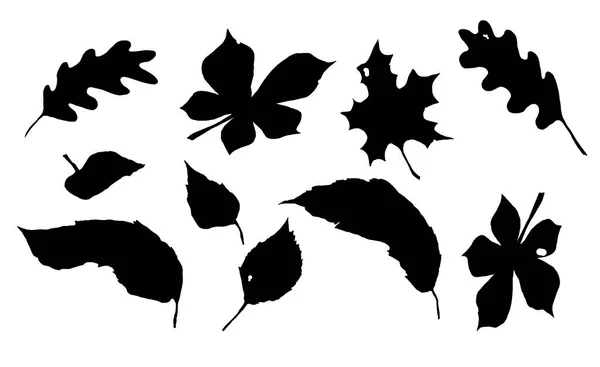 Ілюстрація, графічне зображення, листя дерев на вітрі, чорно-білий візерунок, ізольовані — стокове фото