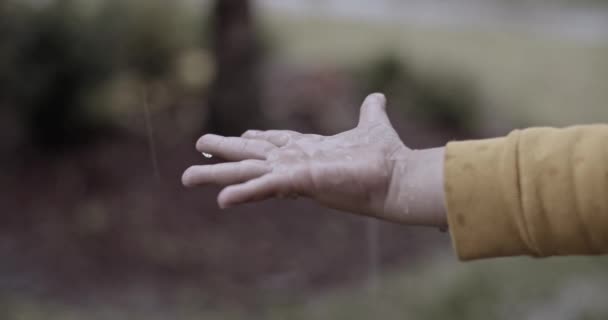 雨と曇りの日に家の外で彼の手を濡らす雨の中で遊んで子供の手の近くのショット — ストック動画