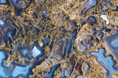 Kırım kıyılarından gelen sarı-mavi yosun dokusu