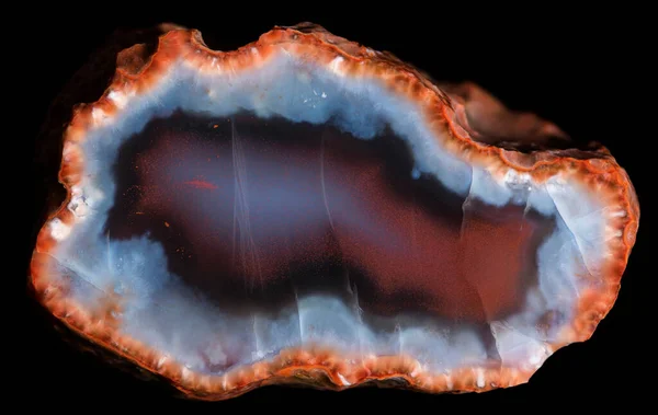 Çevresinde kırmızı ve mavi kalsiyum ve kırmızı zeolit kristalleri olan bir dilim jeot. Rusya, Kemerovo bölgesi