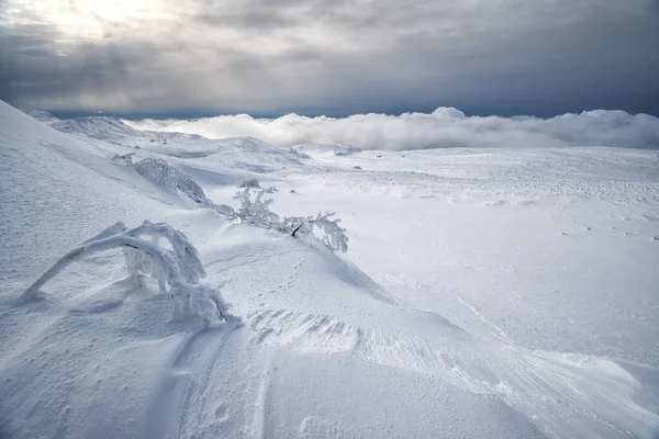 Uma Paisagem Montanhosa Inverno Desolada Com Plantas Geadas Primeiro Plano — Fotografia de Stock