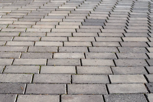 Grey Paving Slabs Sunny Day — Stock Photo, Image