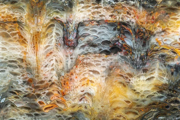 Gros Plan Texture Corail Fossilisé Avec Structure Multicolore Des Cellules — Photo