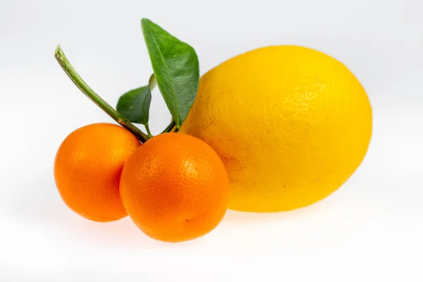 Lemon Calamondines Handles Isolated White Background — Stock Photo, Image