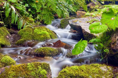 Ukrayna 'daki Karpat Dağları' ndaki dağ deresi. Uzun pozlama fotoğrafı