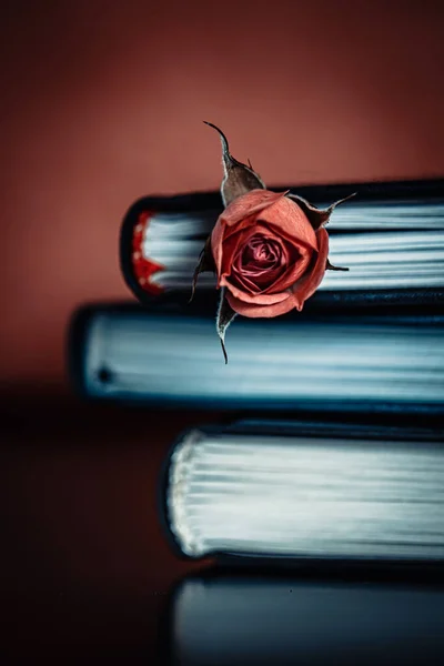 Νεκρή Φύση Τριαντάφυλλα Και Βιβλία Εσωτερικούς Χώρους Στο Τραπέζι — Φωτογραφία Αρχείου