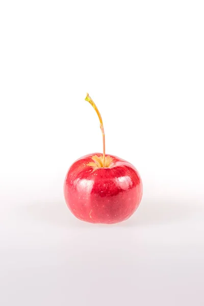 Pequeñas Manzanas Rojas Del Paraíso Aisladas Sobre Fondo Blanco Durante —  Fotos de Stock