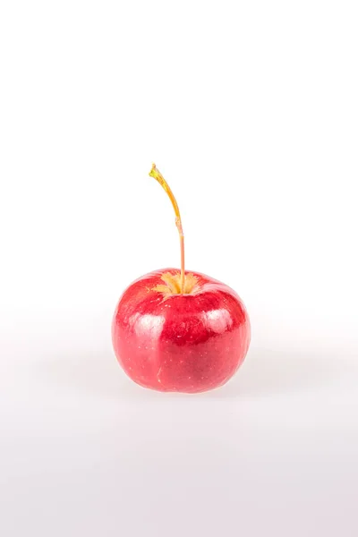 Malá Červená Jablka Ráje Izolované Bílém Pozadí Při Focení Studiu Royalty Free Stock Obrázky