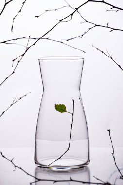 Beyaz bir arka planda, insanın doğal çevreye etkisini sembolize eden dallarla çevrili vazoda yaprağı olan tek bir dal.