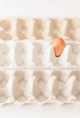 Seri üretimi sembolize eden boş kartonlu bir yumurta, beyaz arkaplan