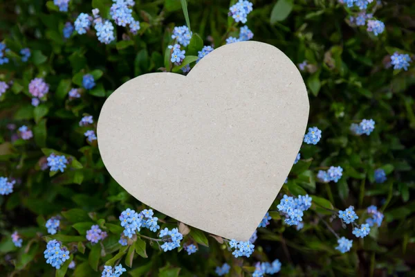A heart of paper on flowers (forget-me-nots) is a symbol of love